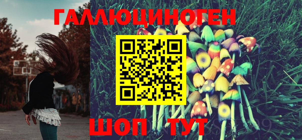 Псилоцибиновые грибы мухоморы Донской